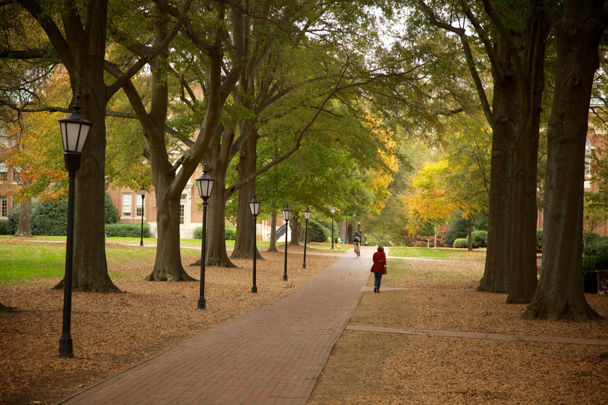 Davidson College In North Carolina on our Southern college tour in Savannah Georgia and North and South Carolina with Carissa. 