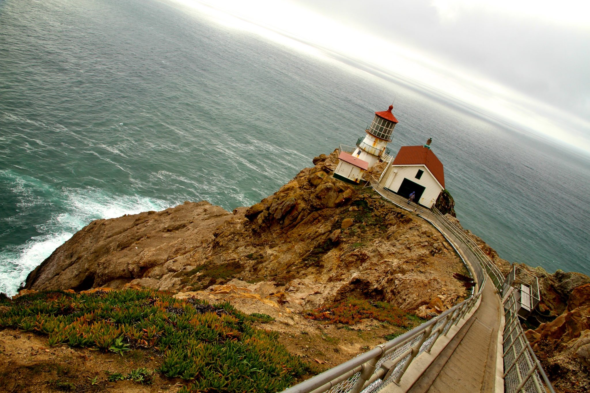 PointReyesOld10