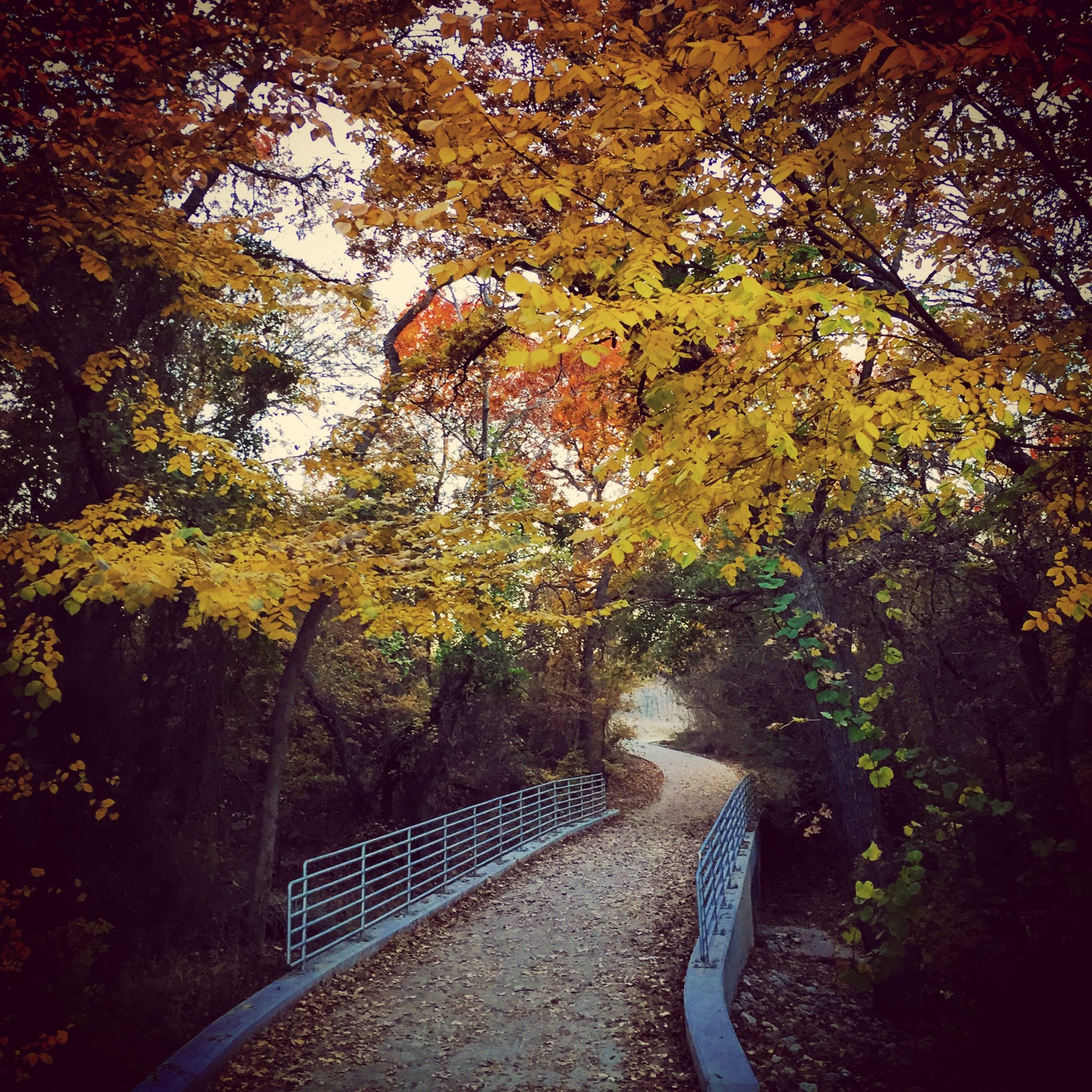 Whispering woods, Oakmont Park