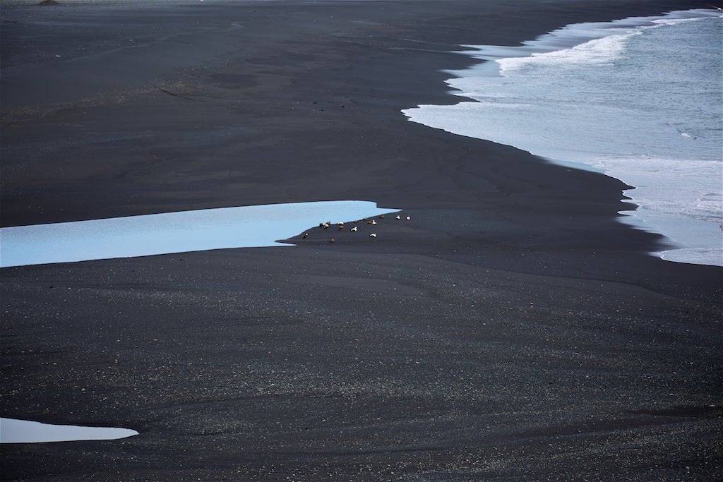 Iceland’s Dyrhólaey lighthouse 12