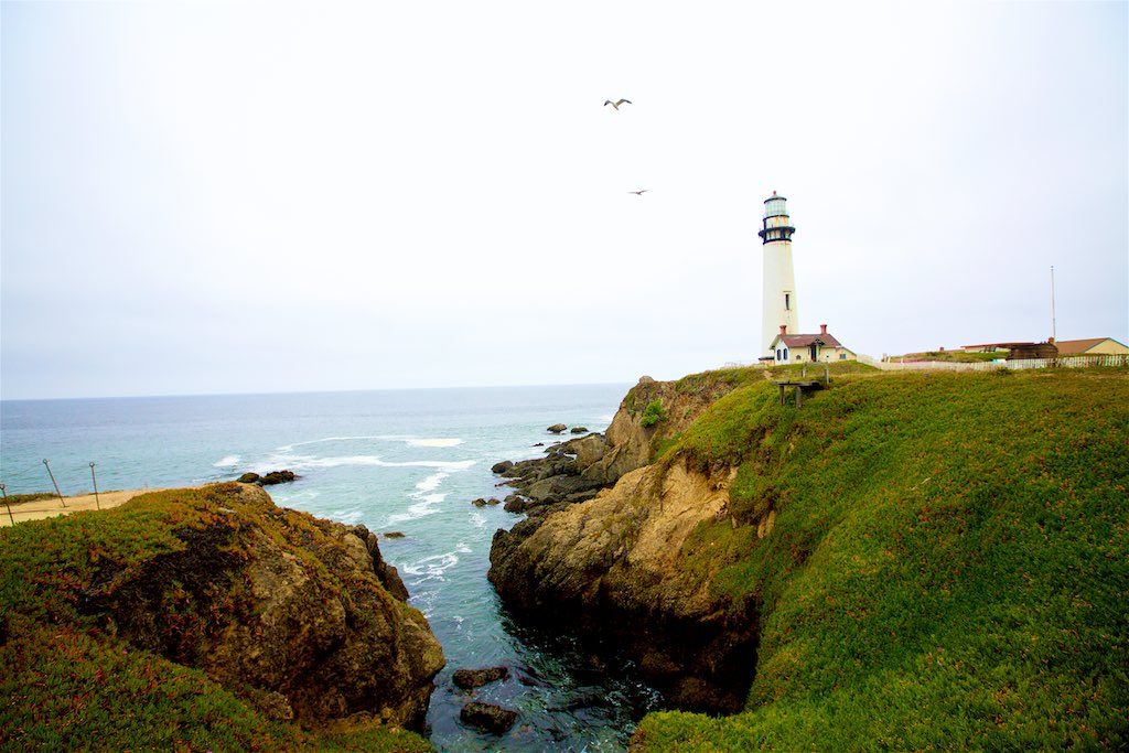 Pigeon point 1